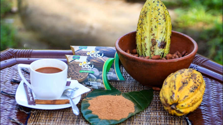 Organic Cacao Factory